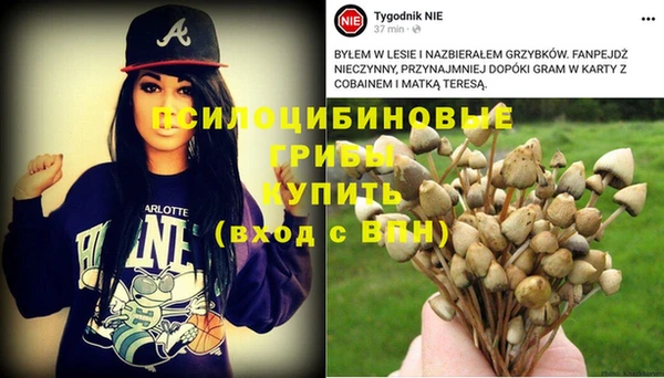шишки Алексеевка