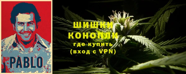 apvp Арсеньев