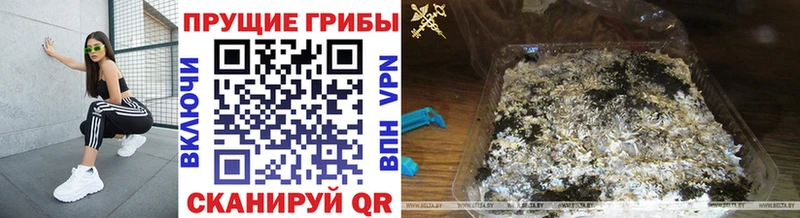 Галлюциногенные грибы прущие грибы  kraken как зайти  Истра  купить наркоту 