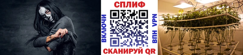 хочу наркоту  Истра  blacksprut как войти  Конопля тримм 